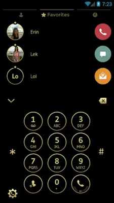 Theme Dialer Black Gold android App screenshot 4